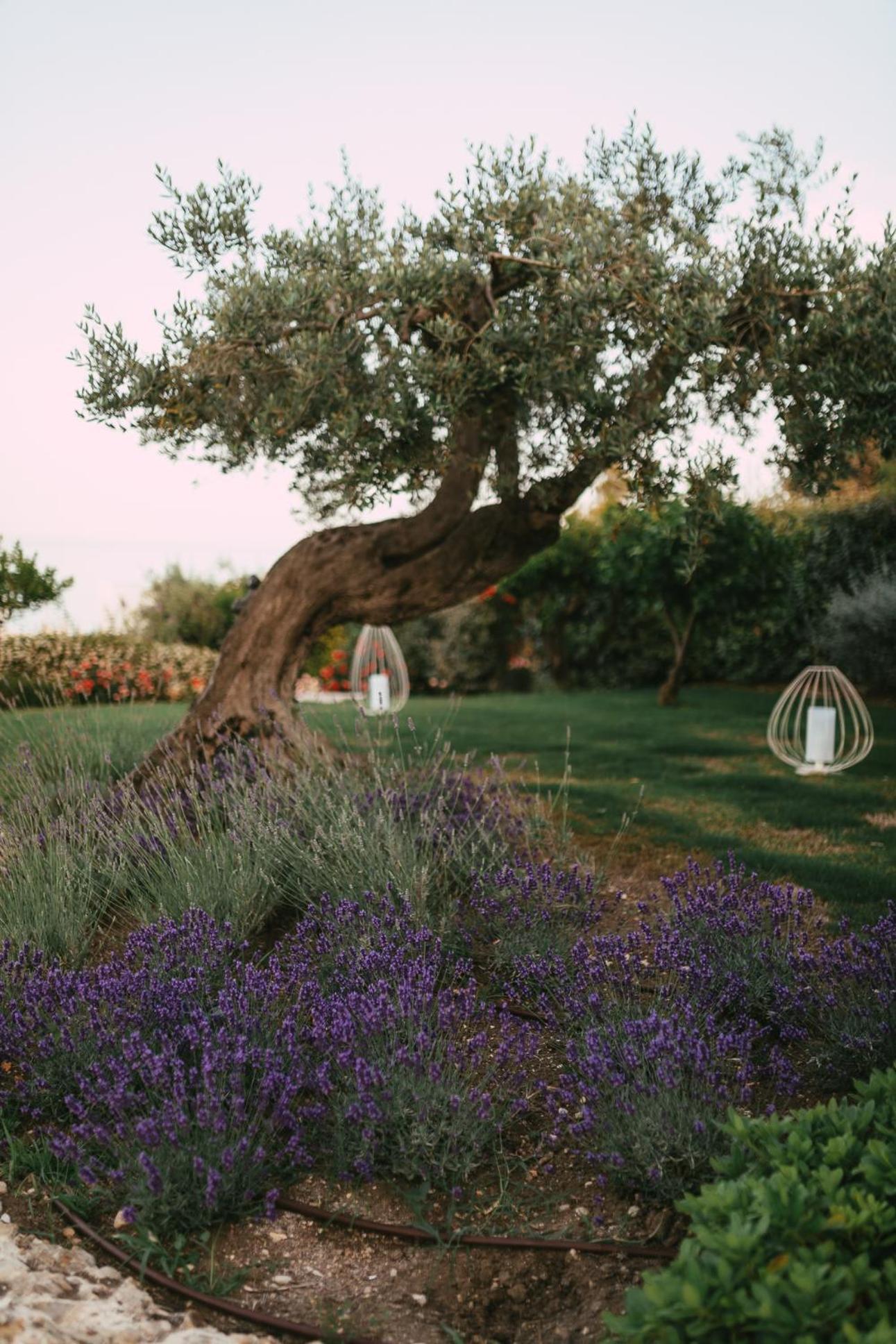 Baia Delphis Resort Vasto Eksteriør bilde