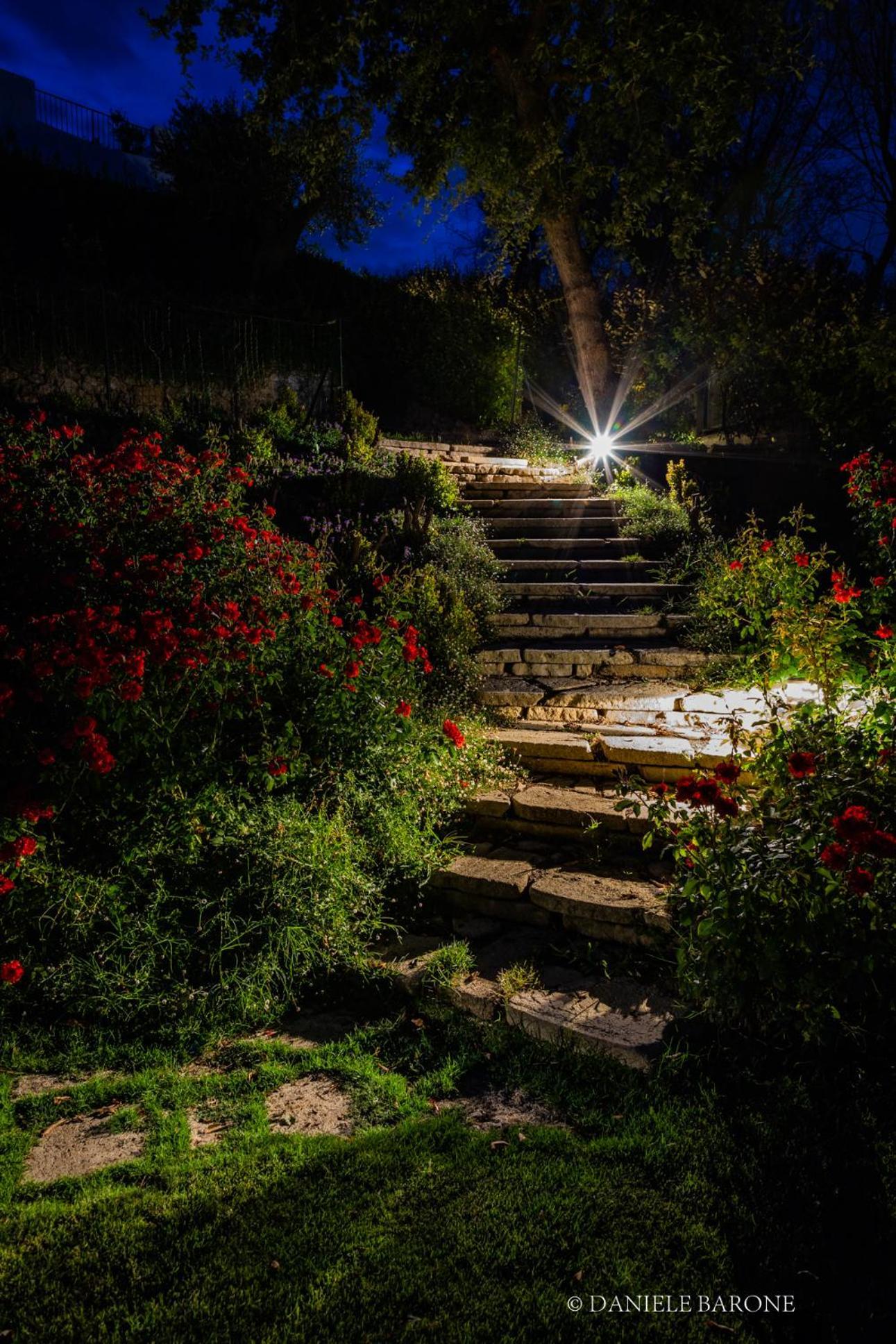 Baia Delphis Resort Vasto Eksteriør bilde