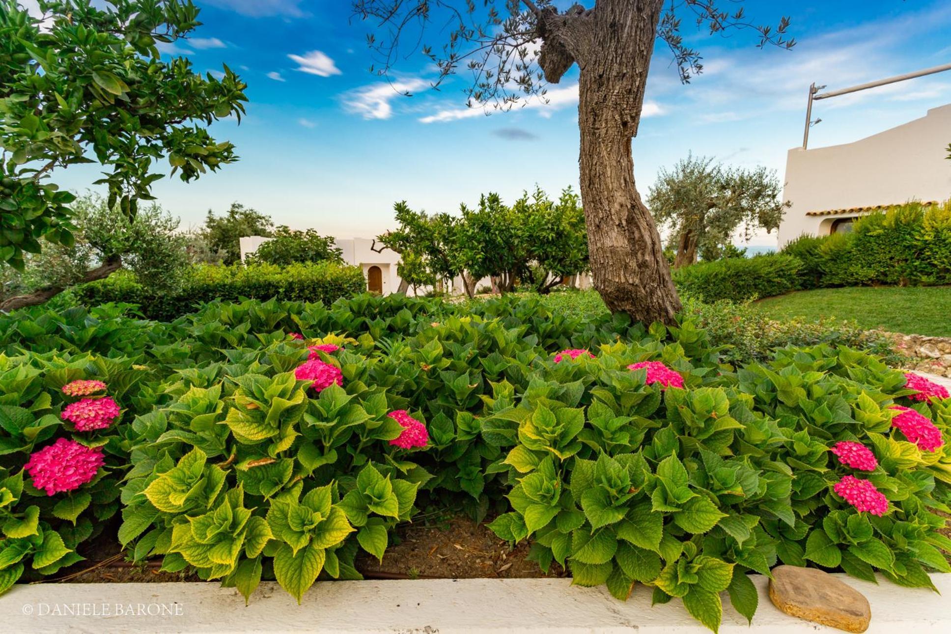 Baia Delphis Resort Vasto Eksteriør bilde