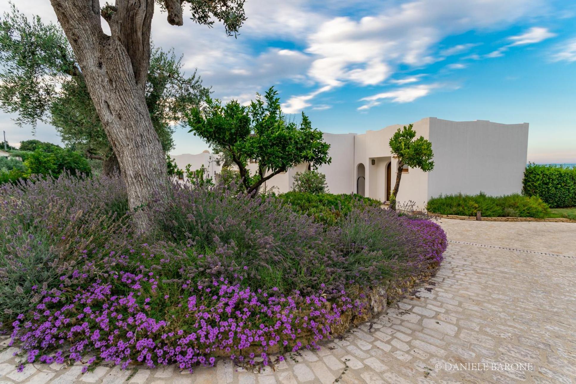 Baia Delphis Resort Vasto Eksteriør bilde